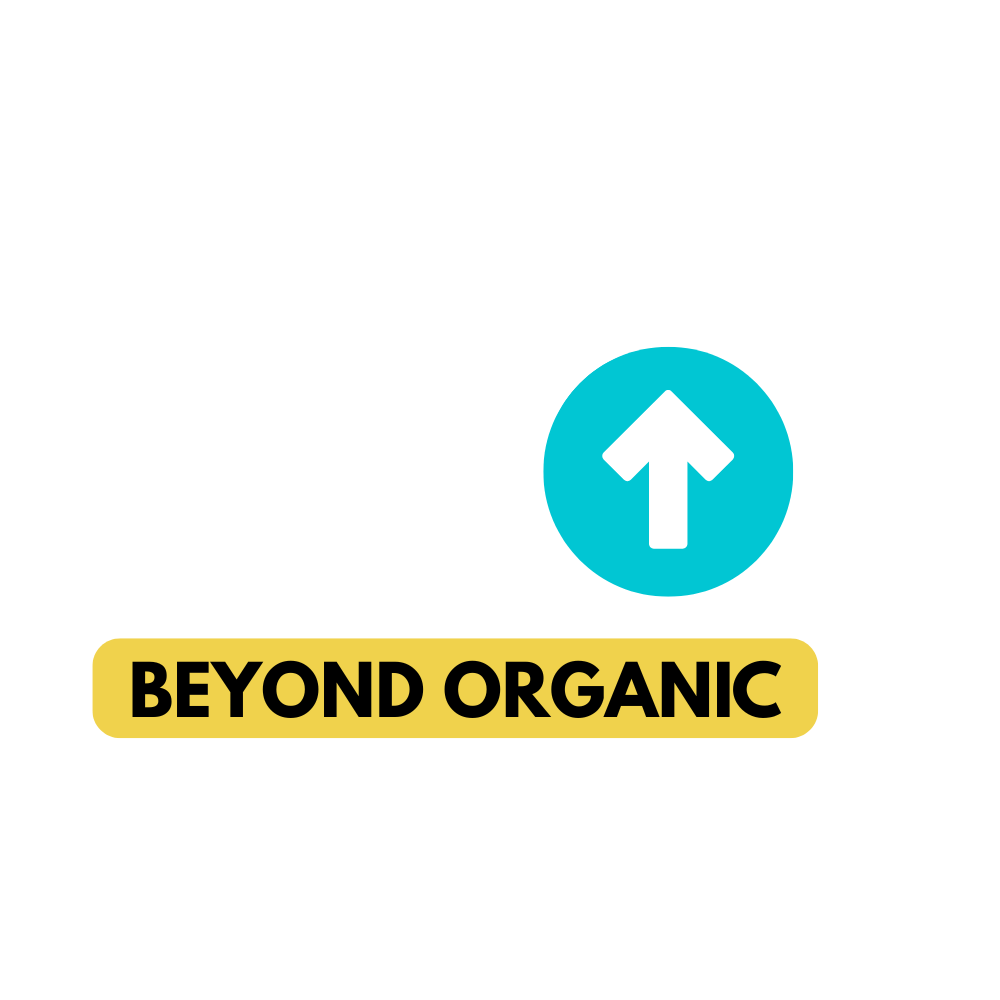 SEO Beyond Organic