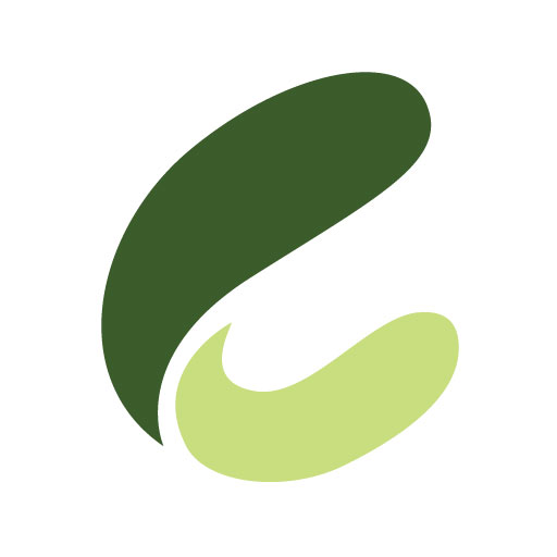 crocovision - Webdesign mit Biss